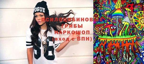 шишки Беломорск