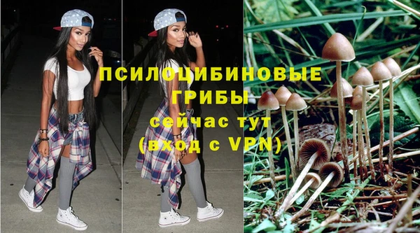 mdpv Баксан